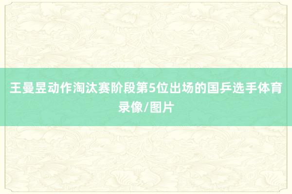 王曼昱动作淘汰赛阶段第5位出场的国乒选手体育录像/图片