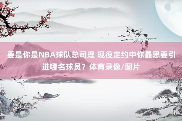 要是你是NBA球队总司理 现役定约中你最思要引进哪名球员？体育录像/图片