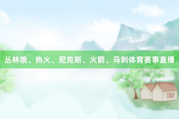 丛林狼、热火、尼克斯、火箭、马刺体育赛事直播