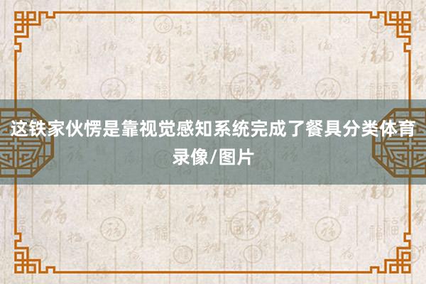 这铁家伙愣是靠视觉感知系统完成了餐具分类体育录像/图片