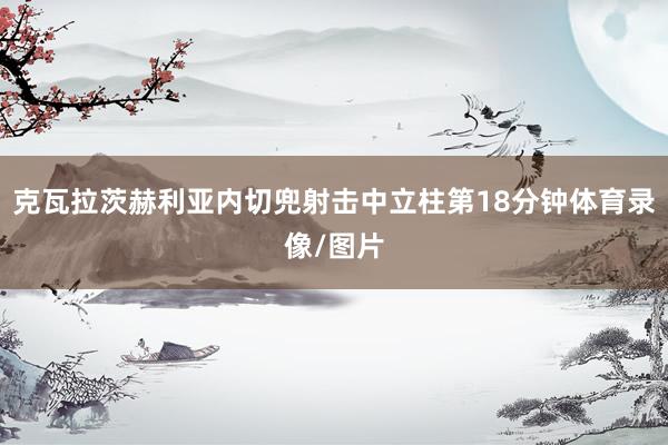 克瓦拉茨赫利亚内切兜射击中立柱第18分钟体育录像/图片