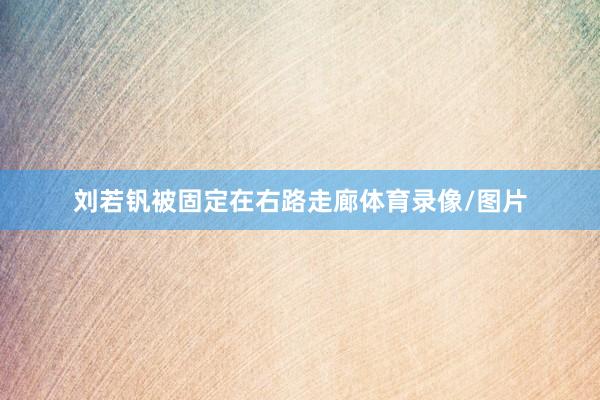 刘若钒被固定在右路走廊体育录像/图片