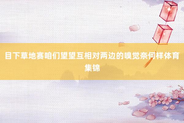 目下草地赛咱们望望互相对两边的嗅觉奈何样体育集锦