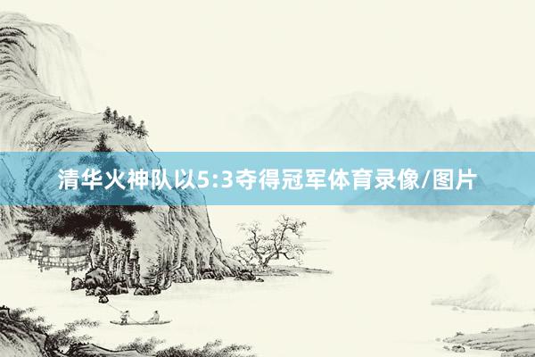 清华火神队以5:3夺得冠军体育录像/图片