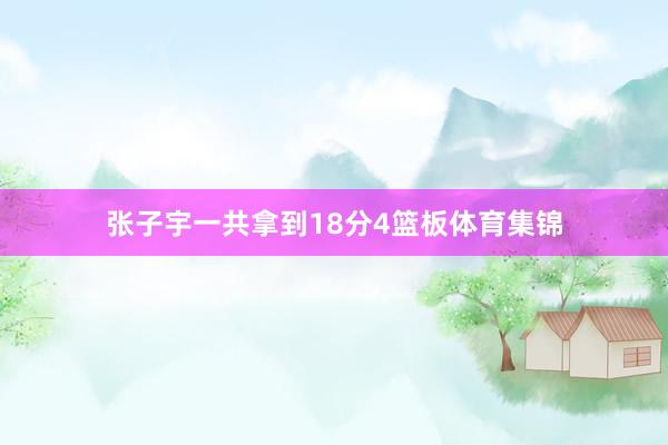 张子宇一共拿到18分4篮板体育集锦