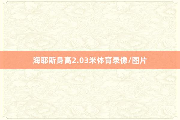 海耶斯身高2.03米体育录像/图片