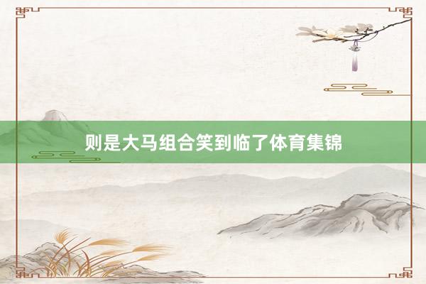 则是大马组合笑到临了体育集锦