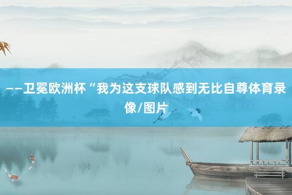 ——卫冕欧洲杯“我为这支球队感到无比自尊体育录像/图片