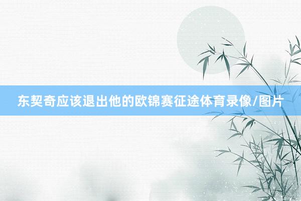 东契奇应该退出他的欧锦赛征途体育录像/图片