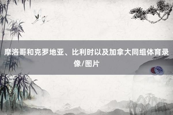 摩洛哥和克罗地亚、比利时以及加拿大同组体育录像/图片