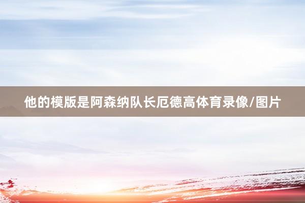 他的模版是阿森纳队长厄德高体育录像/图片