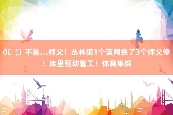 🦐不是…师父！丛林狼1个篮网换了3个师父修！库里驱动管工！体育集锦