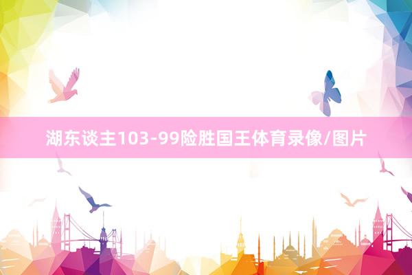 湖东谈主103-99险胜国王体育录像/图片
