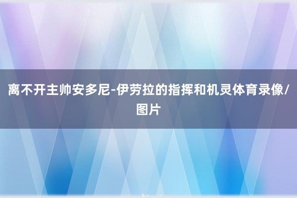 离不开主帅安多尼-伊劳拉的指挥和机灵体育录像/图片