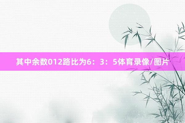 其中余数012路比为6：3：5体育录像/图片
