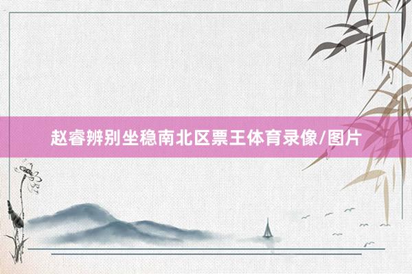 赵睿辨别坐稳南北区票王体育录像/图片
