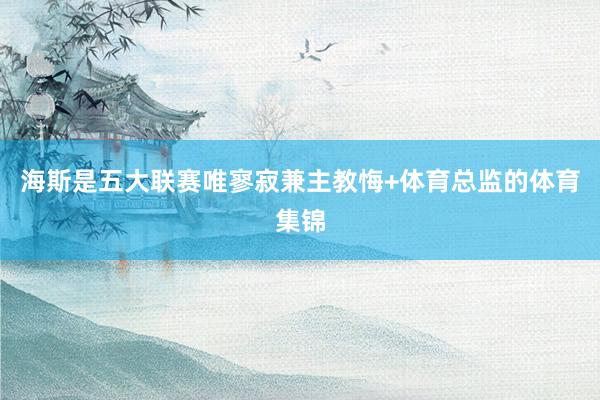 海斯是五大联赛唯寥寂兼主教悔+体育总监的体育集锦