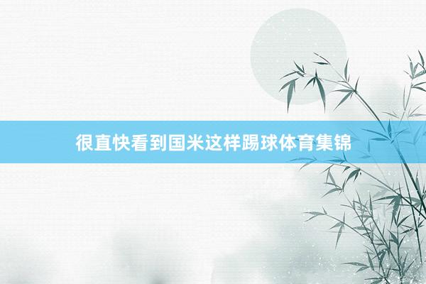 很直快看到国米这样踢球体育集锦