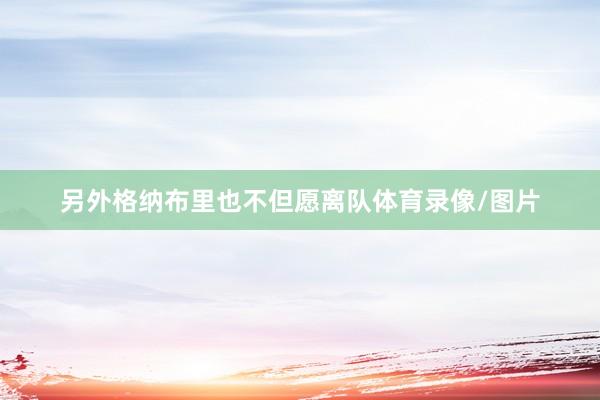 另外格纳布里也不但愿离队体育录像/图片